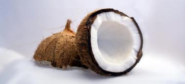 coconut-1125